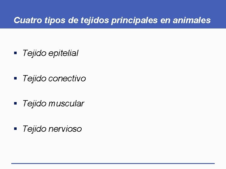 Cuatro tipos de tejidos principales en animales § Tejido epitelial § Tejido conectivo §