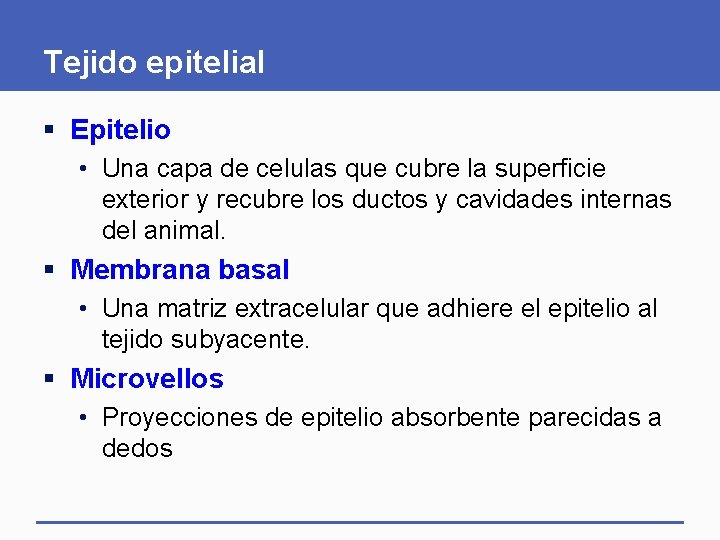Tejido epitelial § Epitelio • Una capa de celulas que cubre la superficie exterior