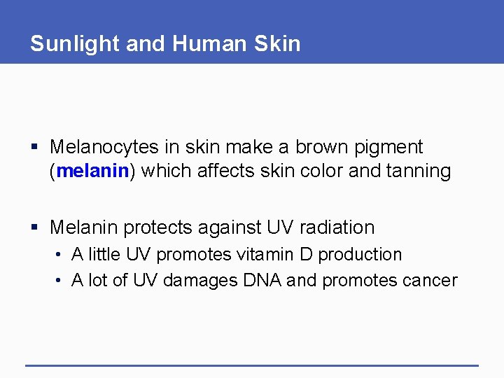 Sunlight and Human Skin § Melanocytes in skin make a brown pigment (melanin) which