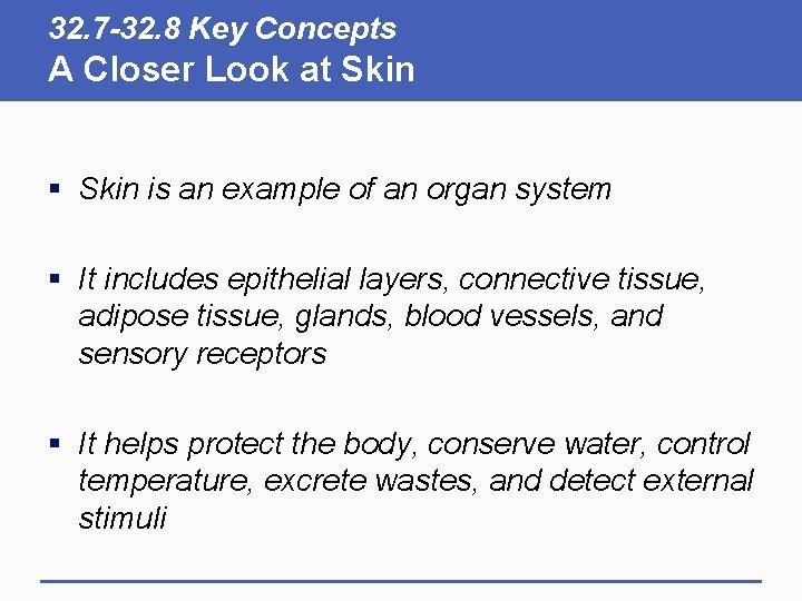 32. 7 -32. 8 Key Concepts A Closer Look at Skin § Skin is