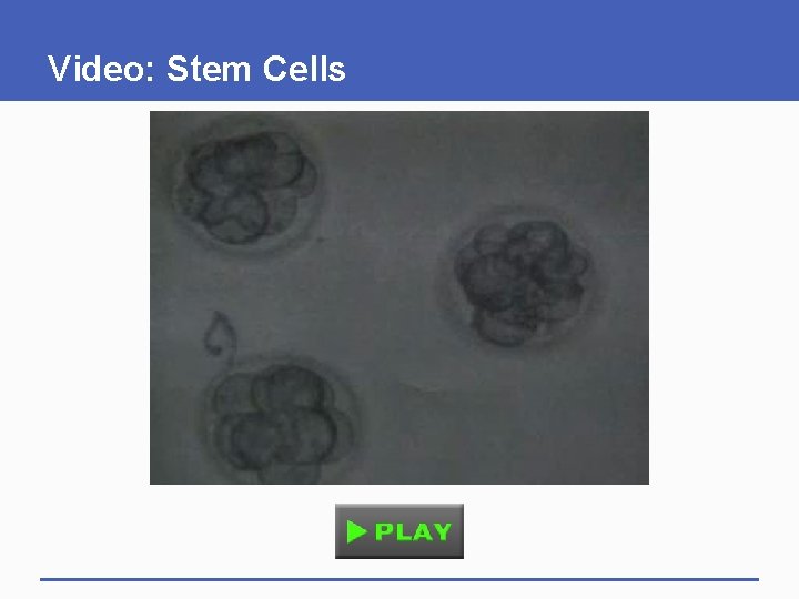 Video: Stem Cells 