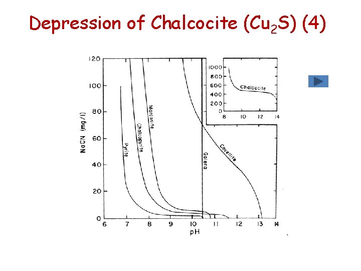 Depression of Chalcocite (Cu 2 S) (4) Depression of Chalcocite (Cu 2 S) (4)