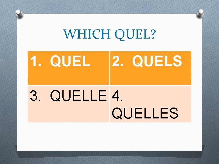 WHICH QUEL? 1. QUEL 2. QUELS 3. QUELLE 4. QUELLES 