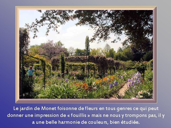 Le jardin de Monet foisonne de fleurs en tous genres ce qui peut donner