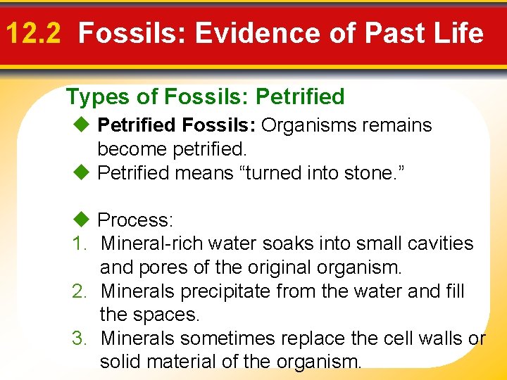12. 2 Fossils: Evidence of Past Life Types of Fossils: Petrified Fossils: Organisms remains