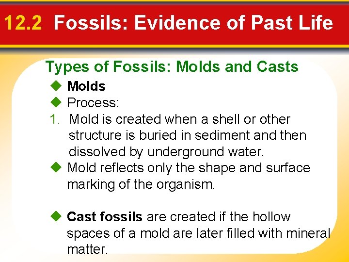 12. 2 Fossils: Evidence of Past Life Types of Fossils: Molds and Casts Molds