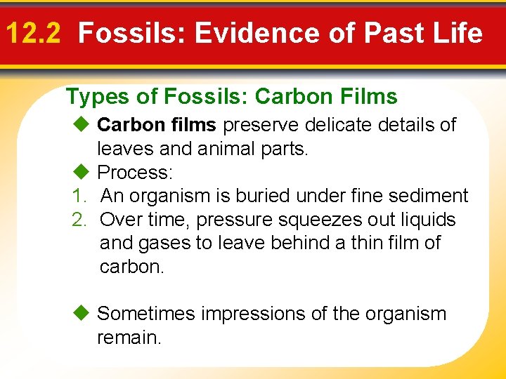 12. 2 Fossils: Evidence of Past Life Types of Fossils: Carbon Films Carbon films