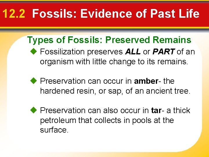 12. 2 Fossils: Evidence of Past Life Types of Fossils: Preserved Remains Fossilization preserves