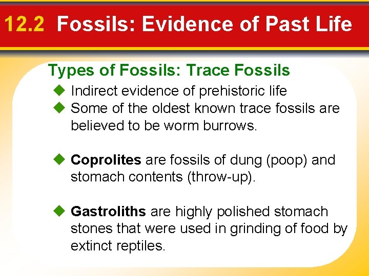 12. 2 Fossils: Evidence of Past Life Types of Fossils: Trace Fossils Indirect evidence