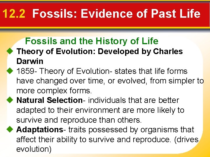 12. 2 Fossils: Evidence of Past Life Fossils and the History of Life Theory