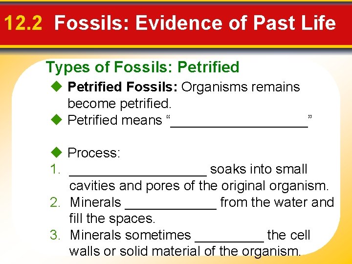 12. 2 Fossils: Evidence of Past Life Types of Fossils: Petrified Fossils: Organisms remains