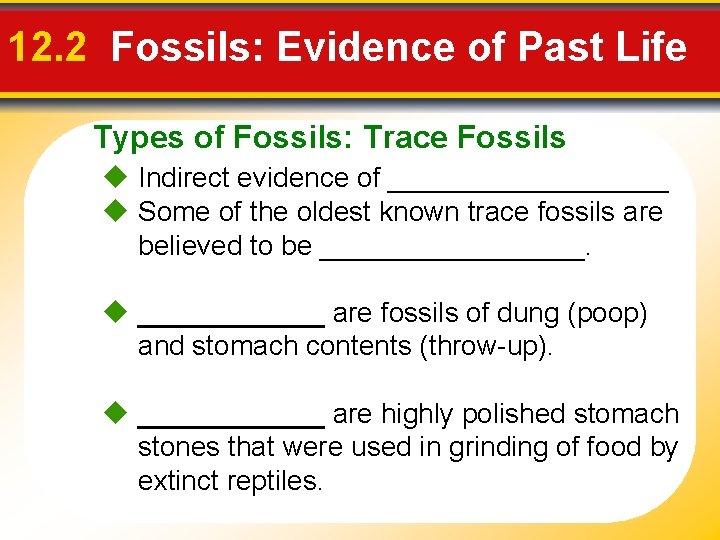 12. 2 Fossils: Evidence of Past Life Types of Fossils: Trace Fossils Indirect evidence