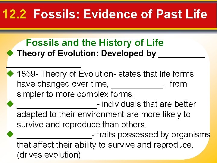 12. 2 Fossils: Evidence of Past Life Fossils and the History of Life Theory