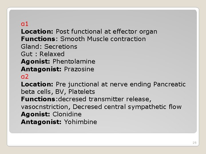 α 1 Location: Post functional at effector organ Functions: Smooth Muscle contraction Gland: Secretions