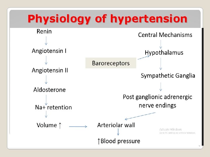 Physiology of hypertension 4 