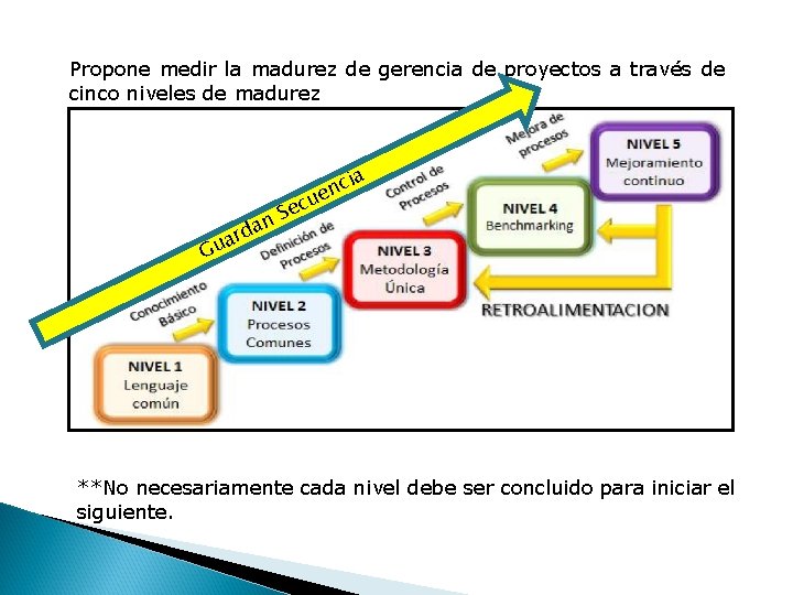 Propone medir la madurez de gerencia de proyectos a través de cinco niveles de