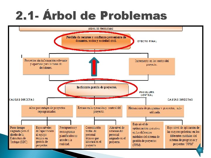 2. 1 - Árbol de Problemas 