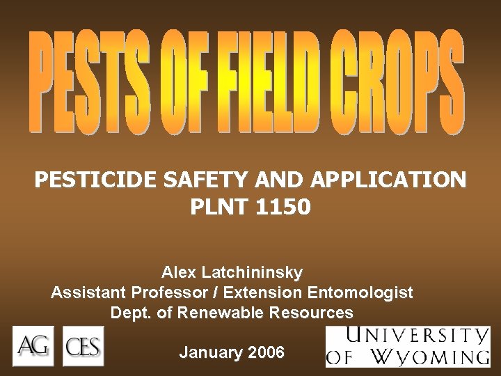 PESTICIDE SAFETY AND APPLICATION PLNT 1150 Alex Latchininsky Assistant Professor / Extension Entomologist Dept.