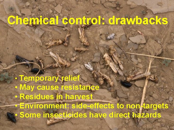 Chemical control: drawbacks • Temporary relief • May cause resistance • Residues in harvest