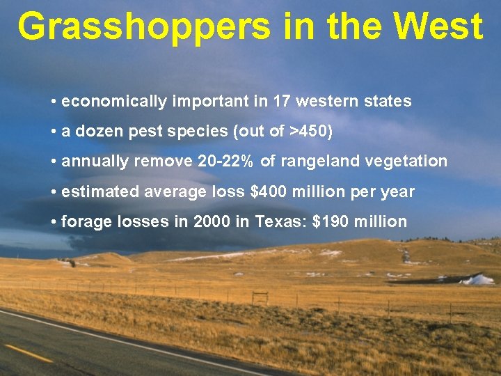 Grasshoppers in the West • economically important in 17 western states • a dozen