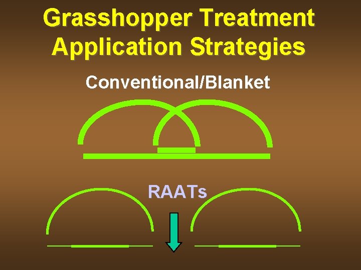 Grasshopper Treatment Application Strategies Conventional/Blanket RAATs 