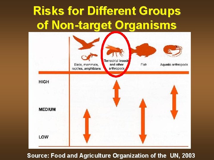 Risks for Different Groups of Non-target Organisms Source: Food and Agriculture Organization of the