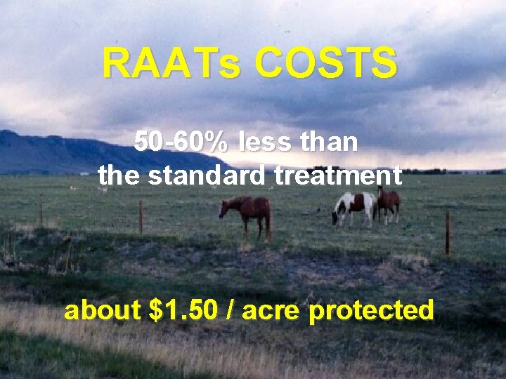 RAATs COSTS 50 -60% less than the standard treatment about $1. 50 / acre