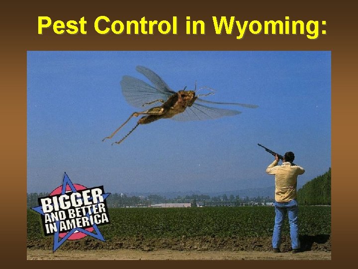 Pest Control in Wyoming: 