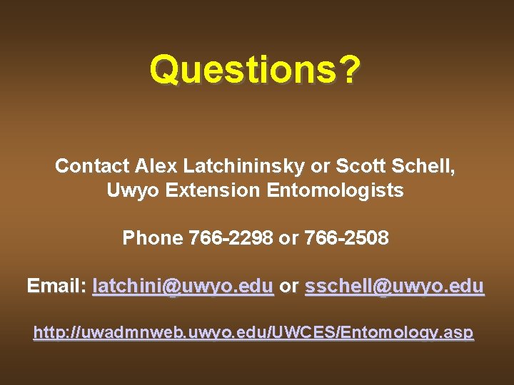 Questions? Contact Alex Latchininsky or Scott Schell, Uwyo Extension Entomologists Phone 766 -2298 or
