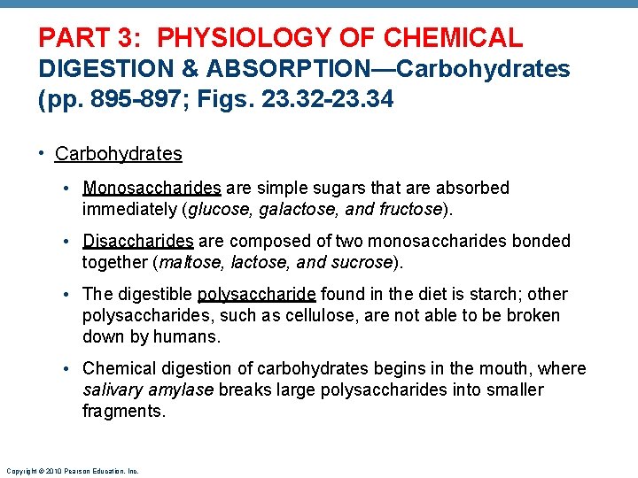 PART 3: PHYSIOLOGY OF CHEMICAL DIGESTION & ABSORPTION—Carbohydrates (pp. 895 -897; Figs. 23. 32