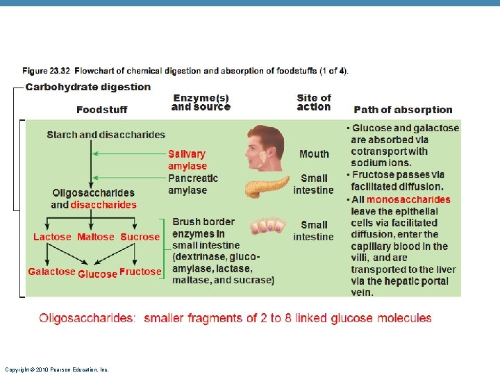 Copyright © 2010 Pearson Education, Inc. 