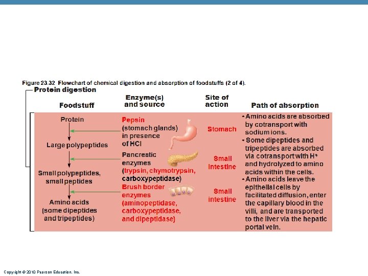 Copyright © 2010 Pearson Education, Inc. 