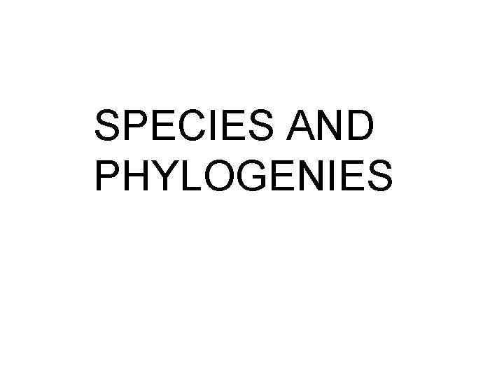 SPECIES AND PHYLOGENIES 