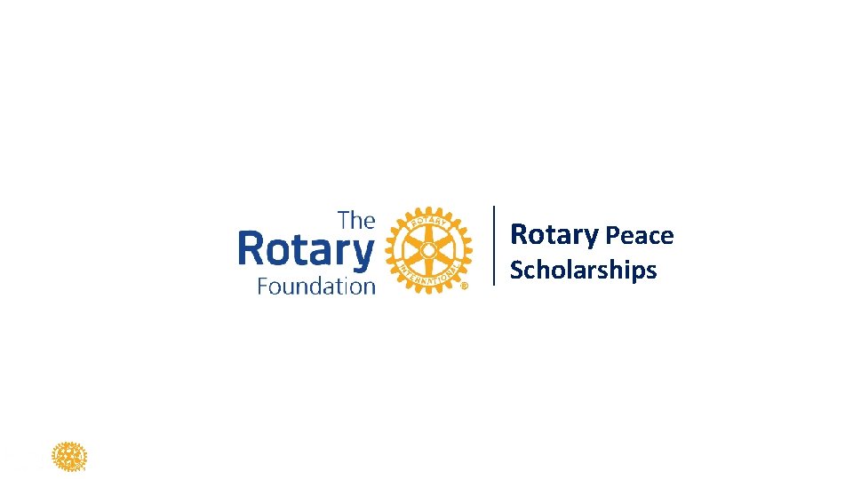 Rotary Peace Scholarships 