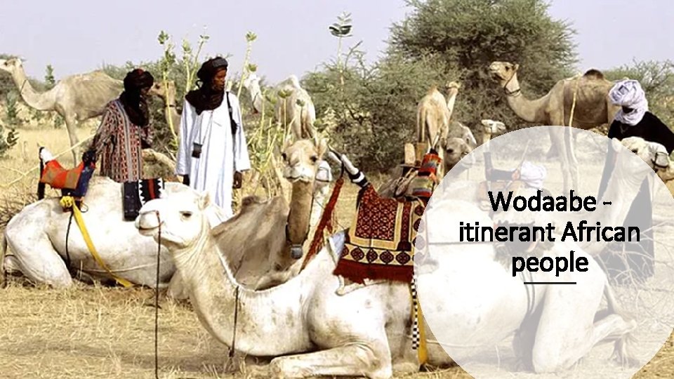 Wodaabe itinerant African people 