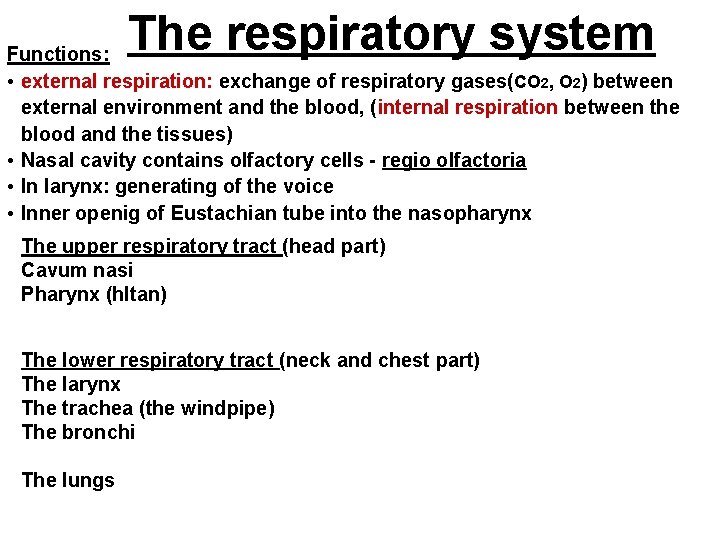 The respiratory system Functions: • external respiration: exchange of respiratory gases(CO 2, O 2)