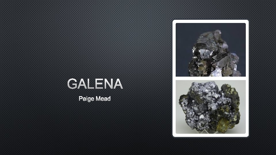 GALENA PAIGE MEAD 