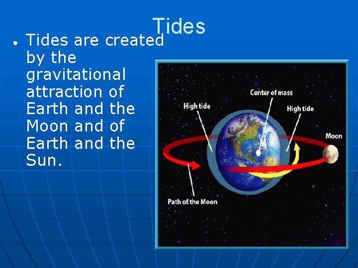 ● Tides are created by the gravitational attraction of Earth and the Moon and