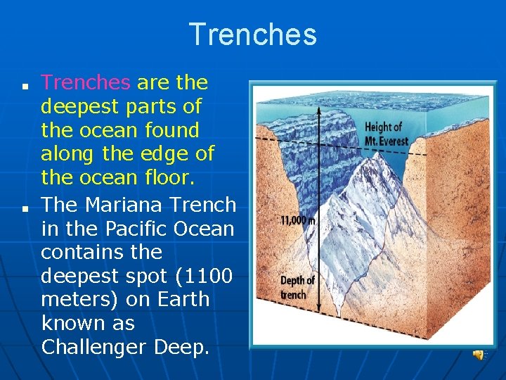 Trenches ■ ■ Trenches are the deepest parts of the ocean found along the
