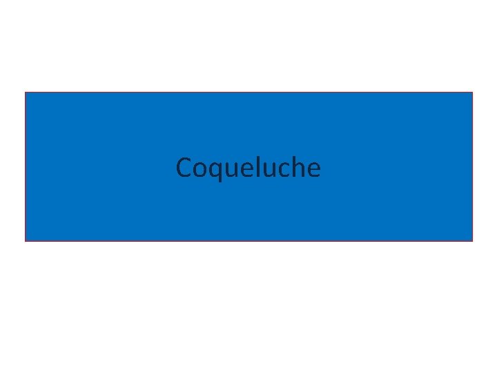 Coqueluche 