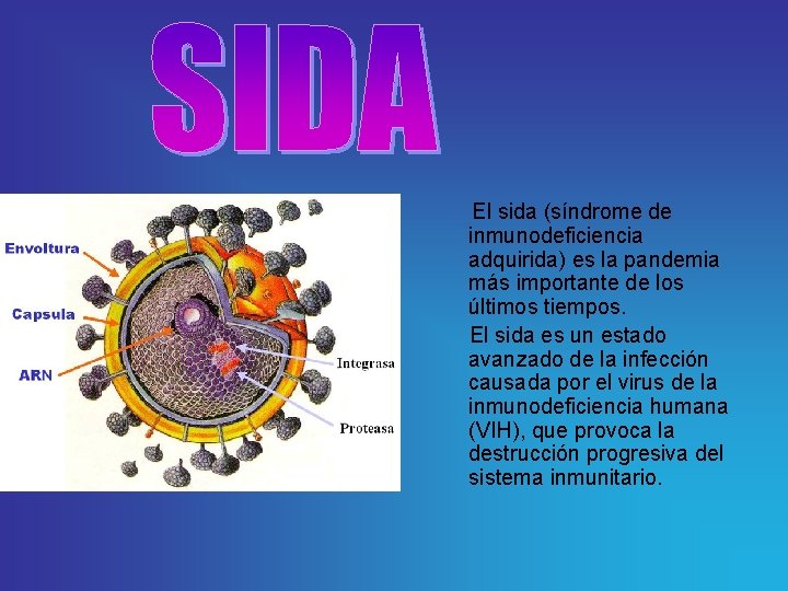 El sida (síndrome de inmunodeficiencia adquirida) es la pandemia más importante de los últimos