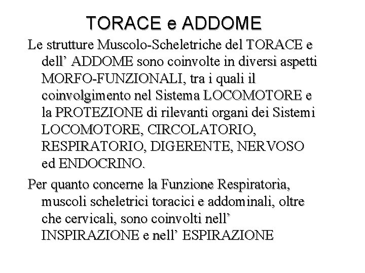 TORACE e ADDOME Le strutture Muscolo-Scheletriche del TORACE e dell’ ADDOME sono coinvolte in