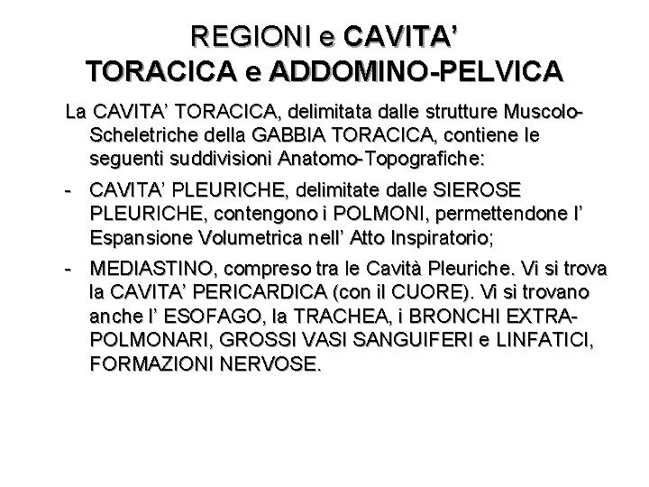 REGIONI e CAVITA’ TORACICA e ADDOMINO-PELVICA La CAVITA’ TORACICA, delimitata dalle strutture Muscolo. Scheletriche