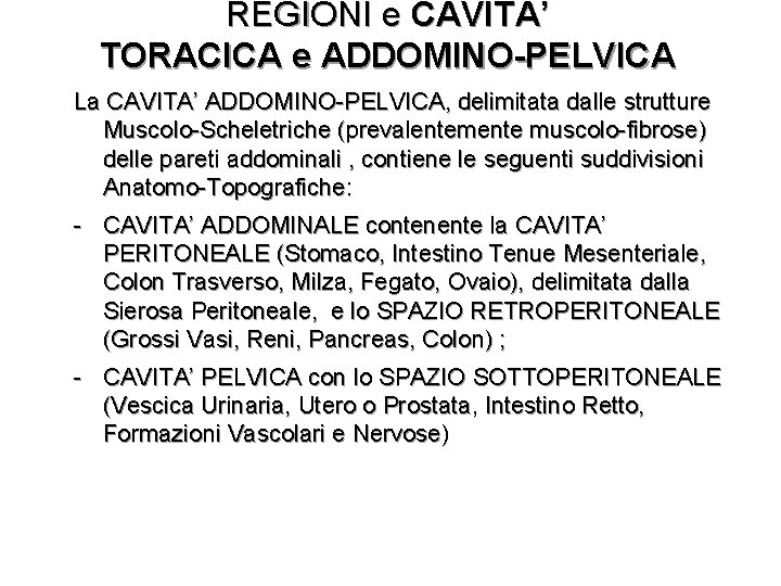 REGIONI e CAVITA’ TORACICA e ADDOMINO-PELVICA La CAVITA’ ADDOMINO-PELVICA, delimitata dalle strutture Muscolo-Scheletriche (prevalentemente