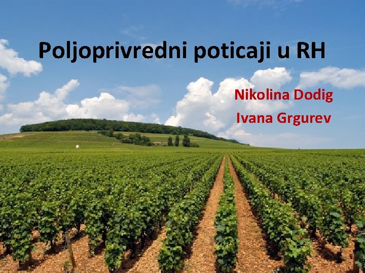 Poljoprivredni poticaji u RH Nikolina Dodig Ivana Grgurev 