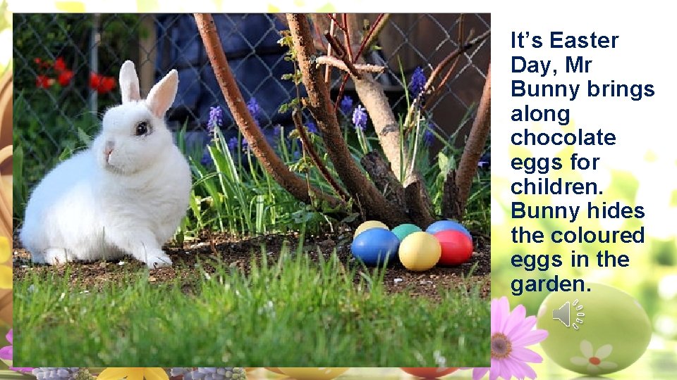 It’s Easter Day, Mr Bunny brings along chocolate eggs for children. Bunny hides the