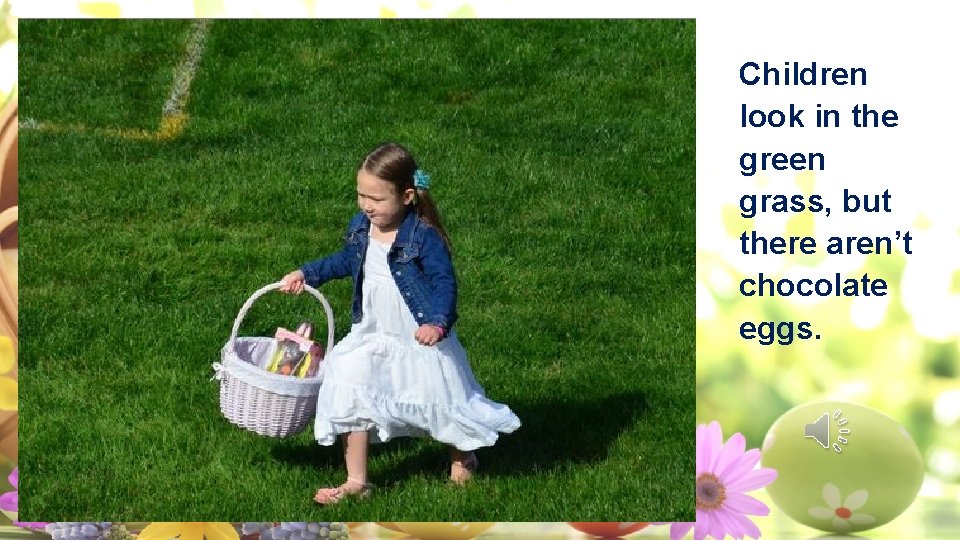 Children look in the green grass, but there aren’t chocolate eggs. 