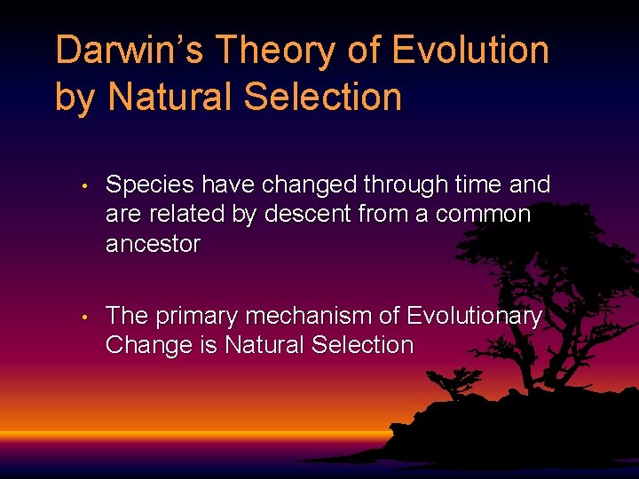 Unit 6 Evolution Natural Selection Darwins Dangerous Ideas