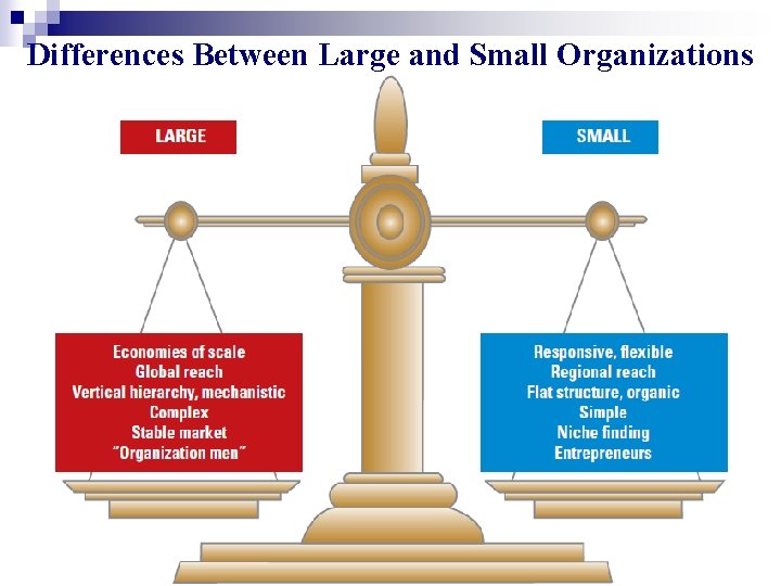 Differences Between Large and Small Organizations 