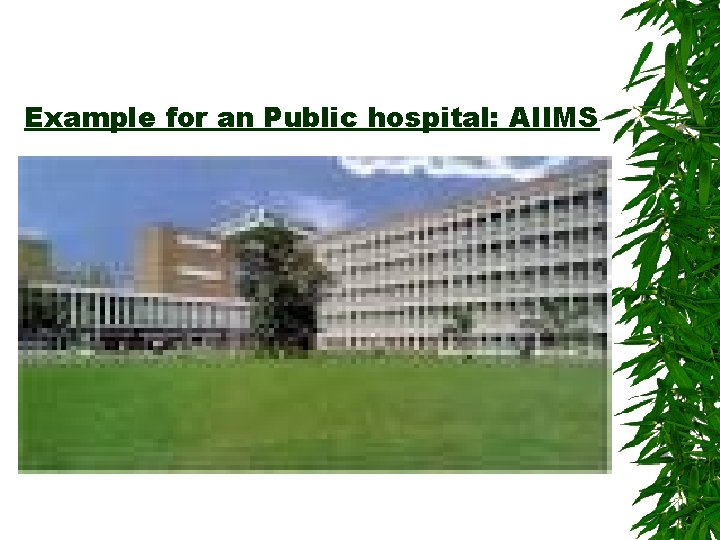 Example for an Public hospital: AIIMS 